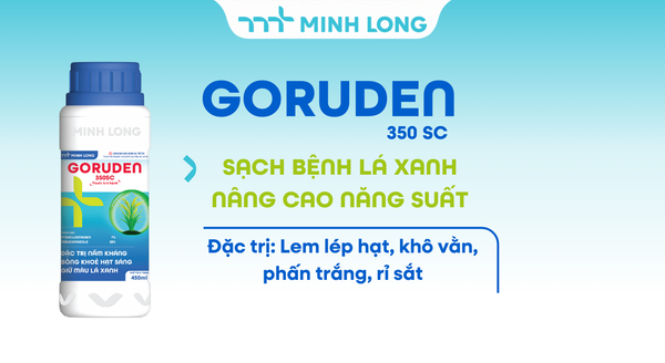 GORUDEN 350SC
