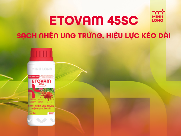 ETOVAM 45SC