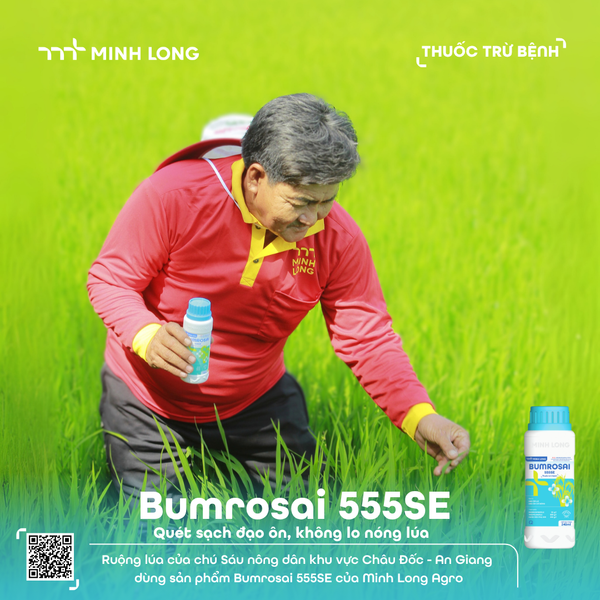 BUMROSAI 555SE