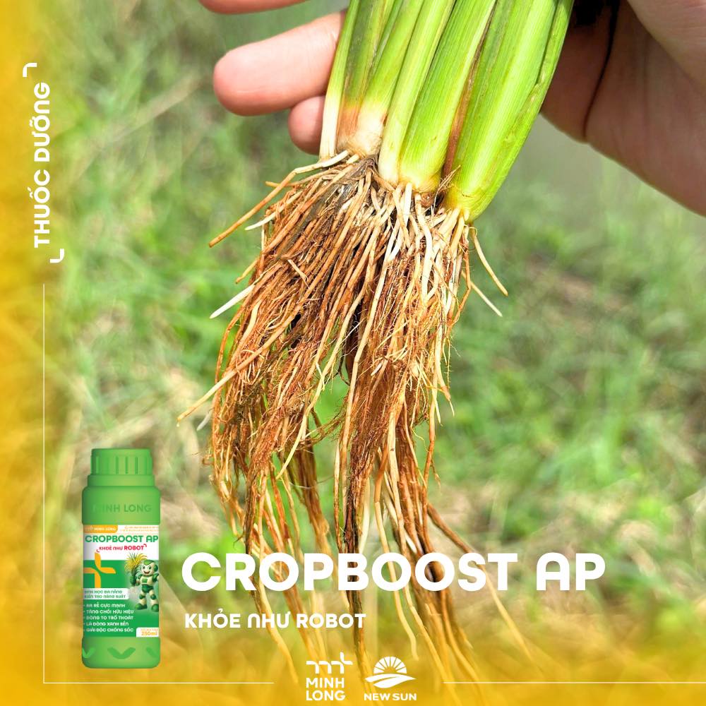 CROPBOOST AP