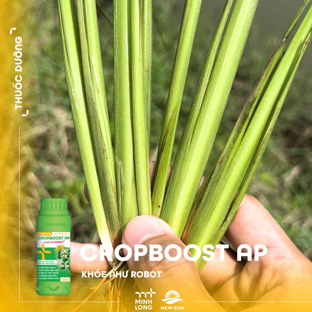 CROPBOOST AP
