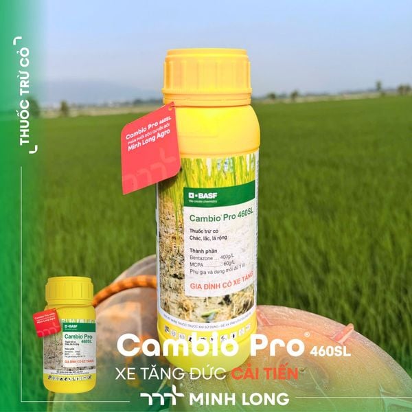Cambio® Pro 460SL