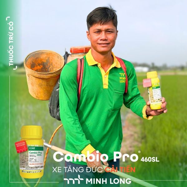 Cambio® Pro 460SL