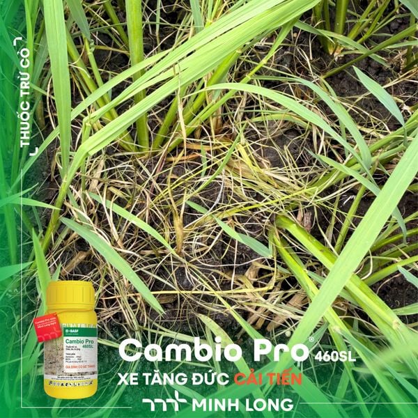 Cambio® Pro 460SL