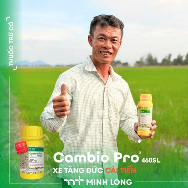 Cambio® Pro 460SL