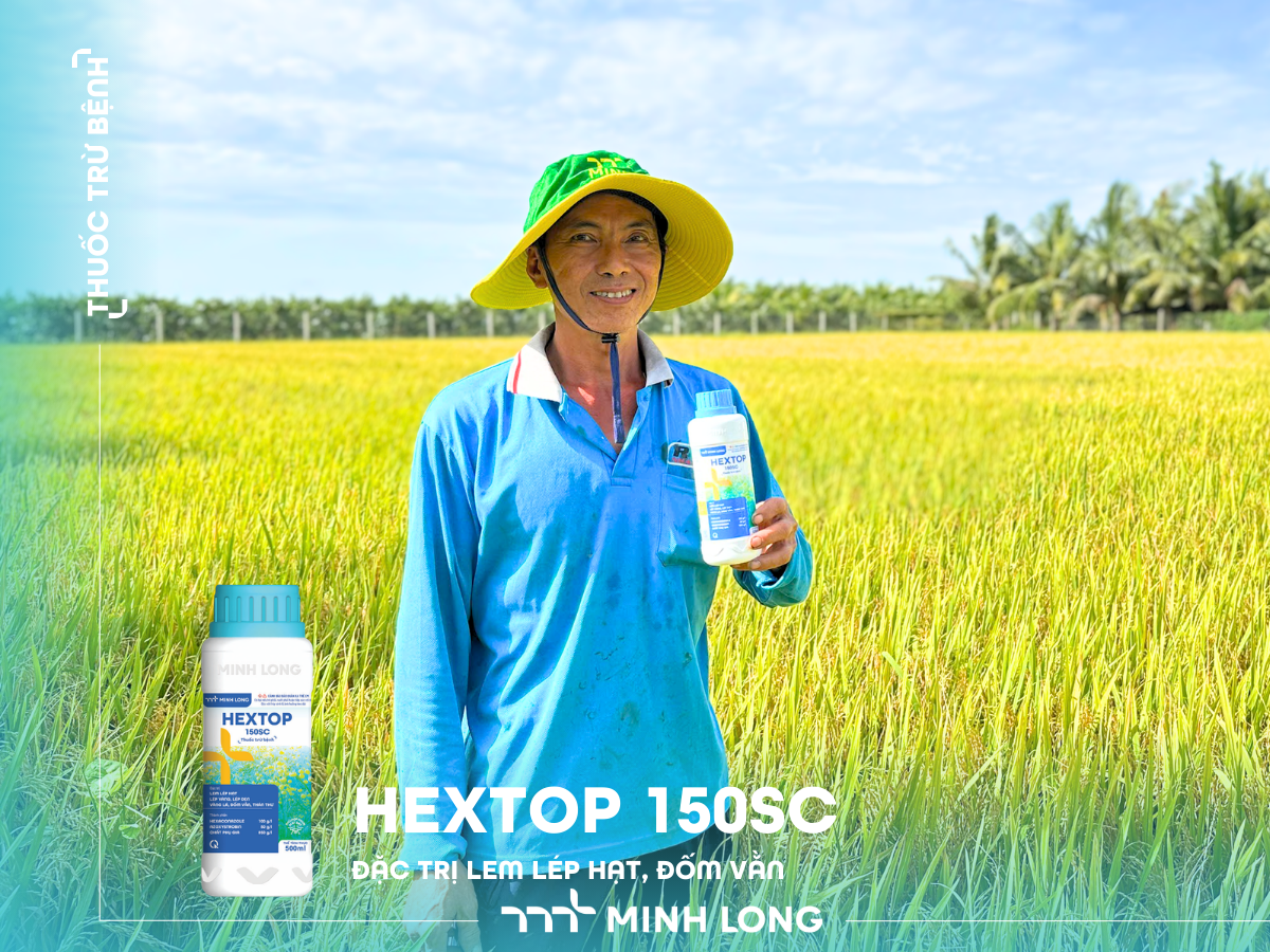 HEXTOP 150SC