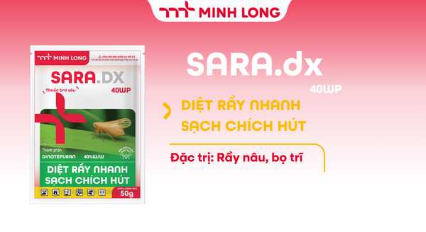 SARA.dx 40WP