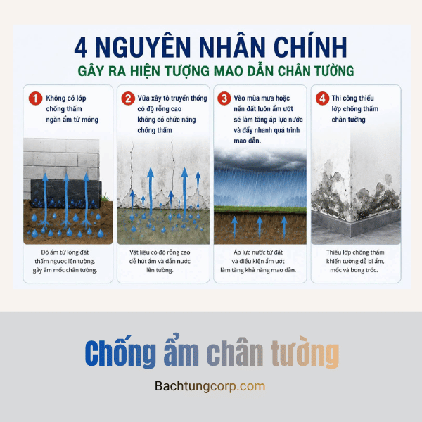 nguyen-nhan-gay-am-chan-tuong