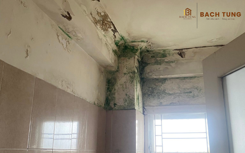 Dấu hiệu tường ẩm mốc