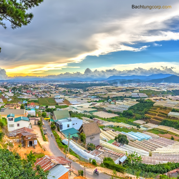 Dịch vụ sơn nhà Đà Lạt | Bách Tùng Corp