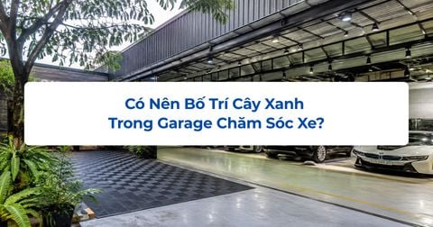 Có Nên Bố Trí Cây Xanh Trong Garage Chăm Sóc Xe?