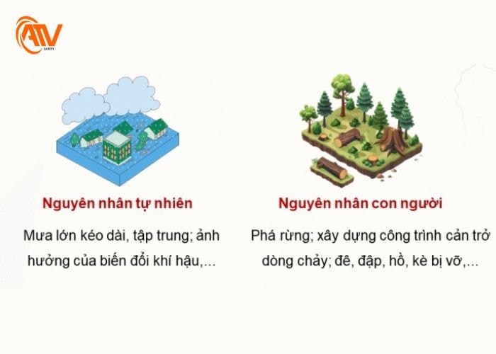 nguyên nhân gây thiên tai