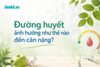 Đường huyết ảnh hưởng như thế nào đến cân nặng?