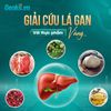 Giải Cứu Lá Gan Với 5 Nhóm