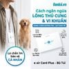 Cách ngăn ngừa lông thú cưng và vi khuẩn xâm nhập vào đường hô hấp.