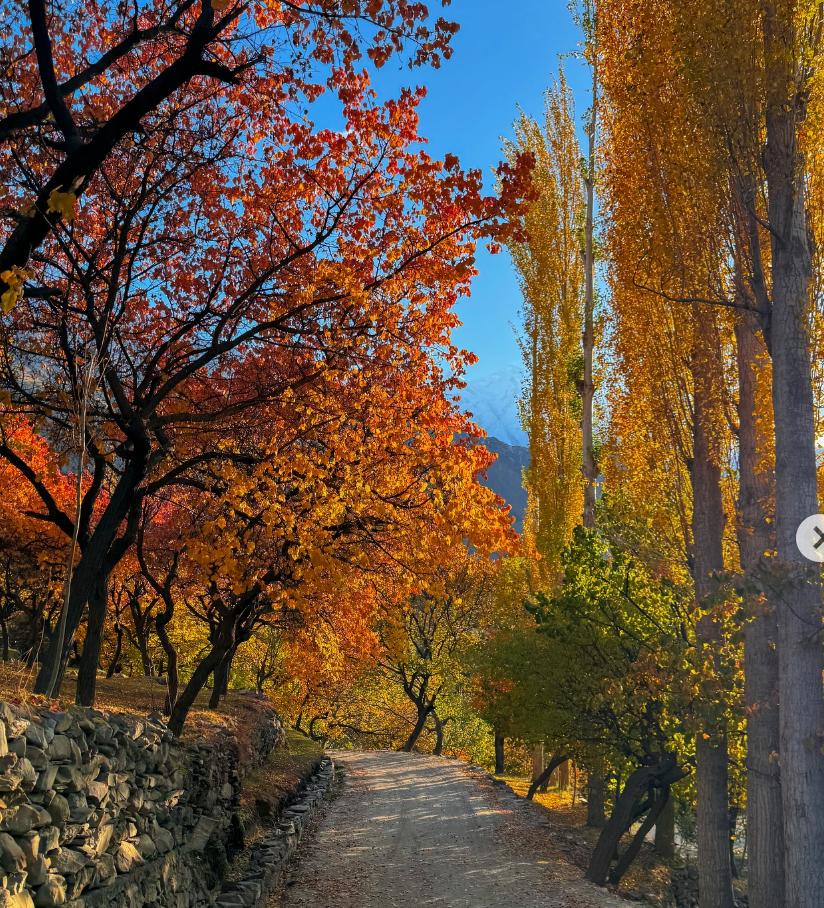 Thung lũng Nagar Pakistan mùa thu dưới dãy Karakoram