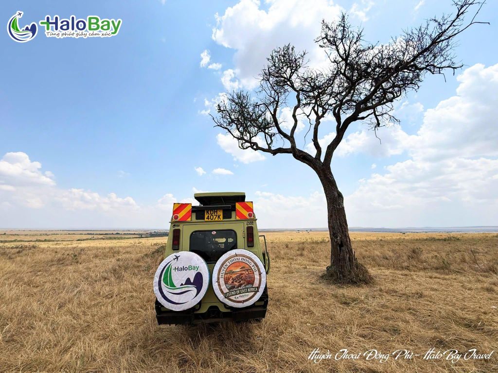 Safari và trải nghiệm văn hóa Maasai tại Maasai Mara