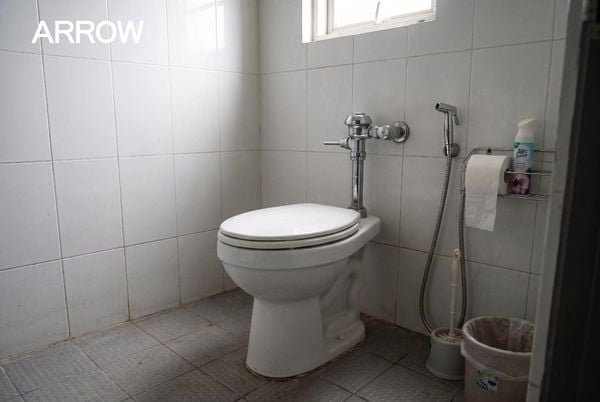 Bồn Cầu Cụt Là Gì? Giải Pháp Thay Thế Bền Vững, Tiết Kiệm Từ ARROW