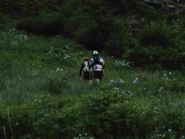 cach-su-dung-gay-trekking-hieu-qua-khi-di-bo-duong-dai