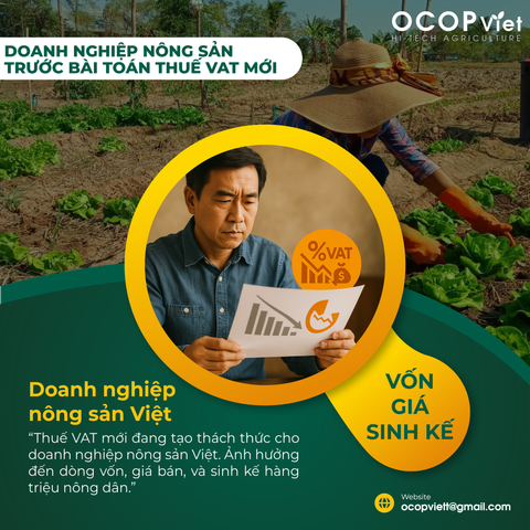 Doanh nghiệp nông sản trước bài toán thuế VAT mới: Vốn, giá và sinh kế nông dân