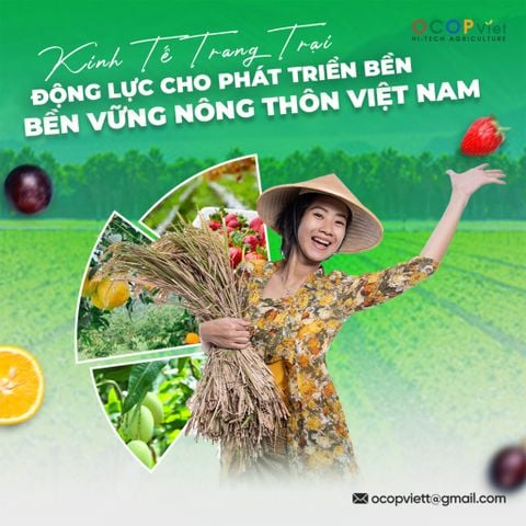 Kinh Tế Trang Trại – Động Lực Cho Phát Triển Bền Vững Nông Thôn Việt Nam