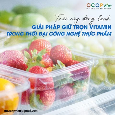 Trái Cây Đông Lạnh – Giải pháp giữ trọn vitamin trong thời đại công nghệ thực phẩm