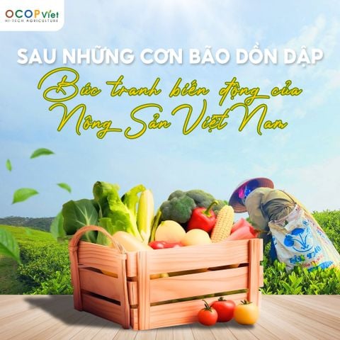Sau Những Cơn Bão Dồn Dập: Bức Tranh Biến Động Của Nông Sản Việt Nam