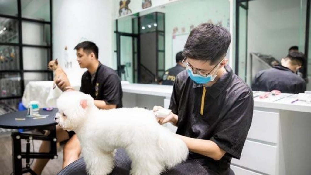 Kinh doanh dịch vụ chăm sóc thú cưng tại Đà Nẵng