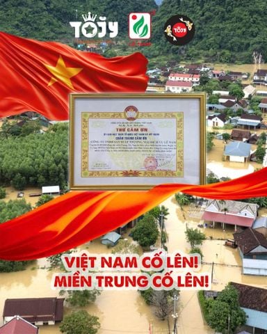 TOJY Hướng Về Miền Trung Thân Yêu
