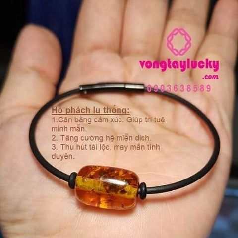 Hình ảnh bài viết