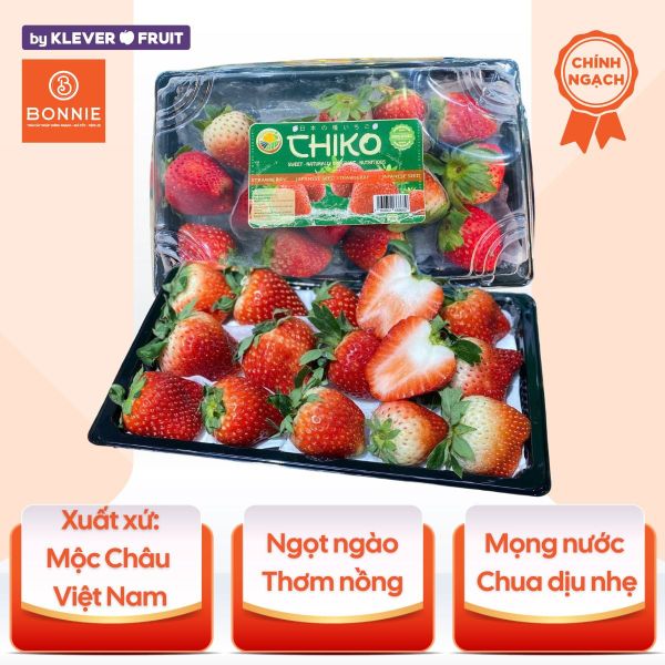 Dâu tây mộc châu