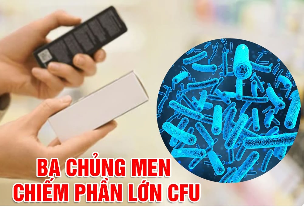 3 chung men chiêm phân lớn CFU