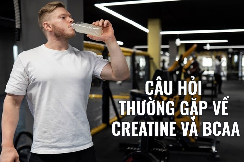 Câu hỏi thường gặp về creatine và BCAA