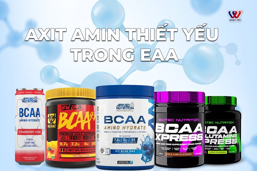 axit amin thiết yếu trong EAA