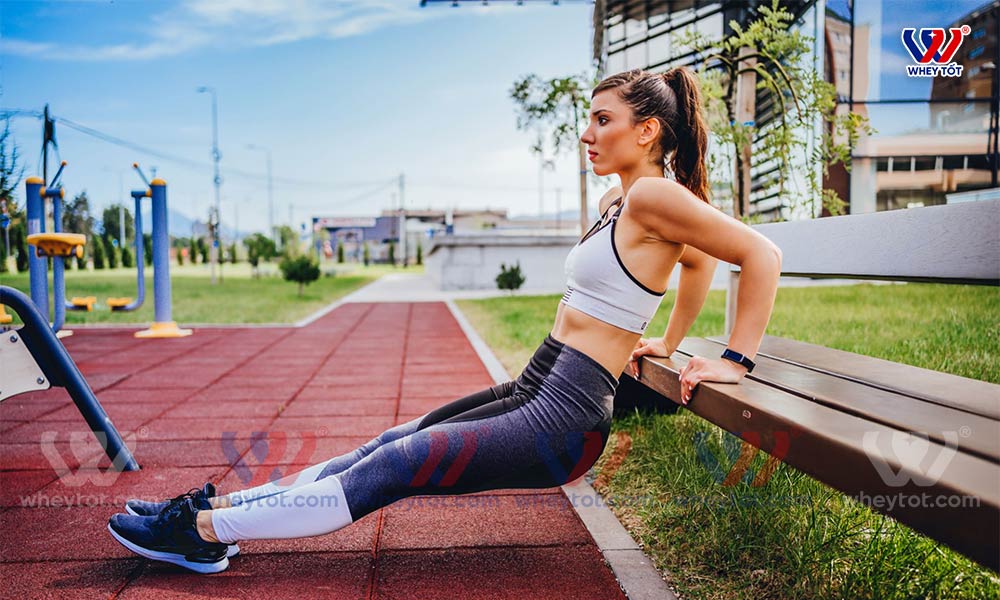 Đẩy tay sau với băng ghế săn chắc cơ tay sau