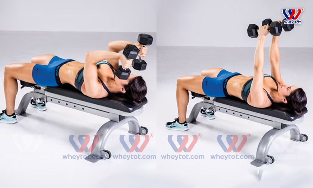 bài tập bắp tay sau cho nam Skull Crusher