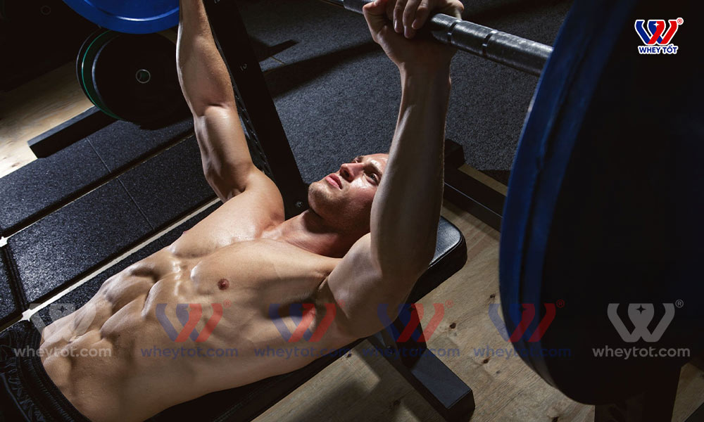 Nằm đẩy tạ đòn là bài tập gym tay sau