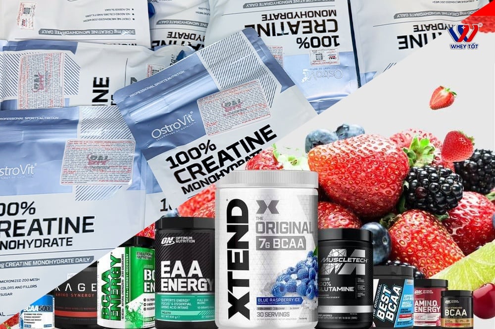 BCAA và creatine