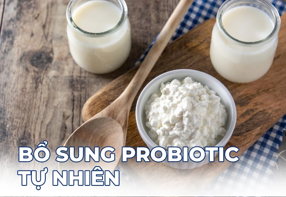 Bổ sung probiotic