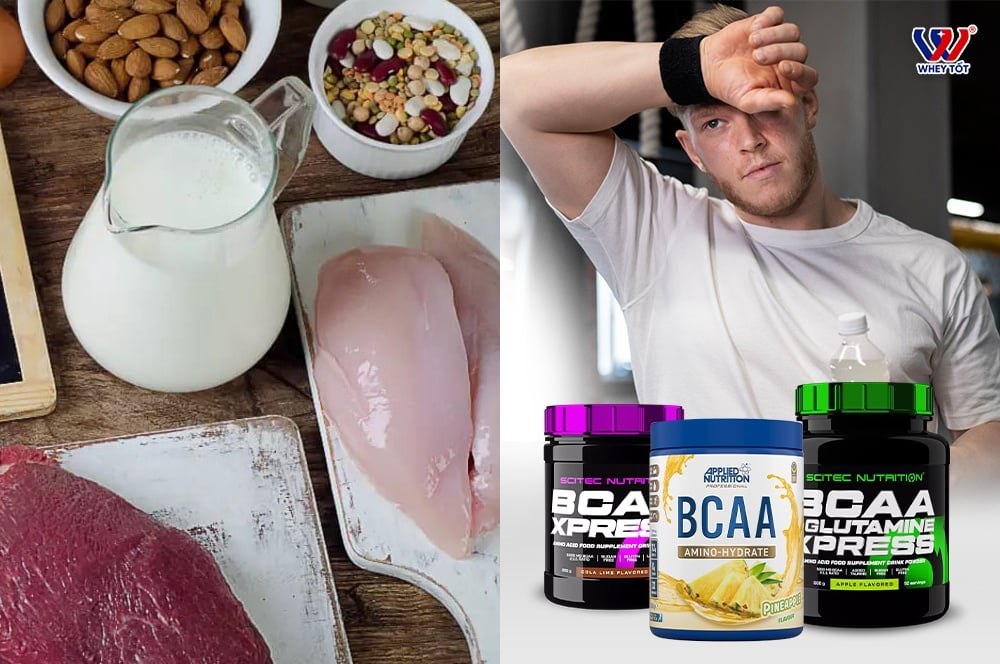 BCAA từ thịt và bcaa thực phẩm bổ sung