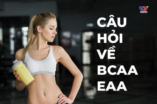 câu hỏi BCAA EAA