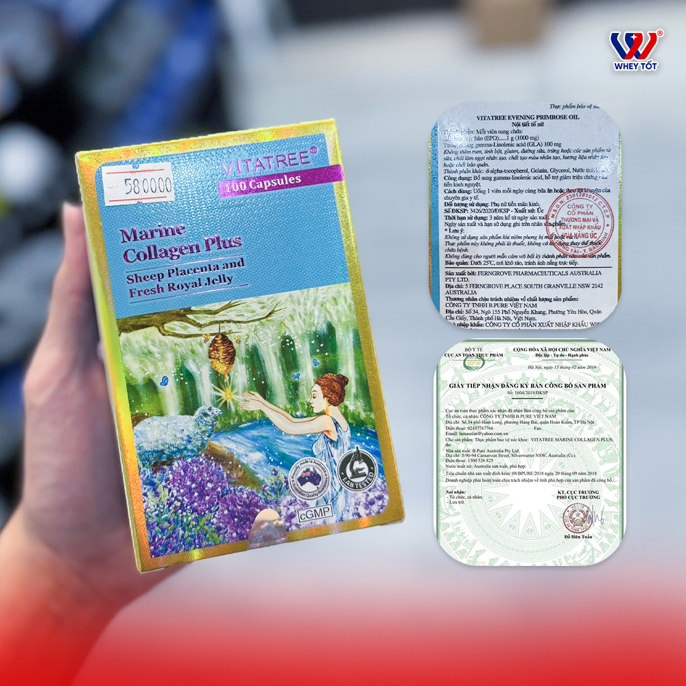 collagen sữa ong chúa