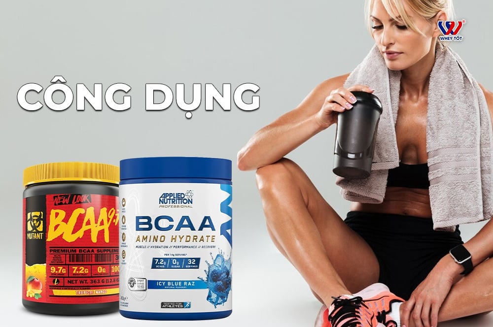 công dung bcaa