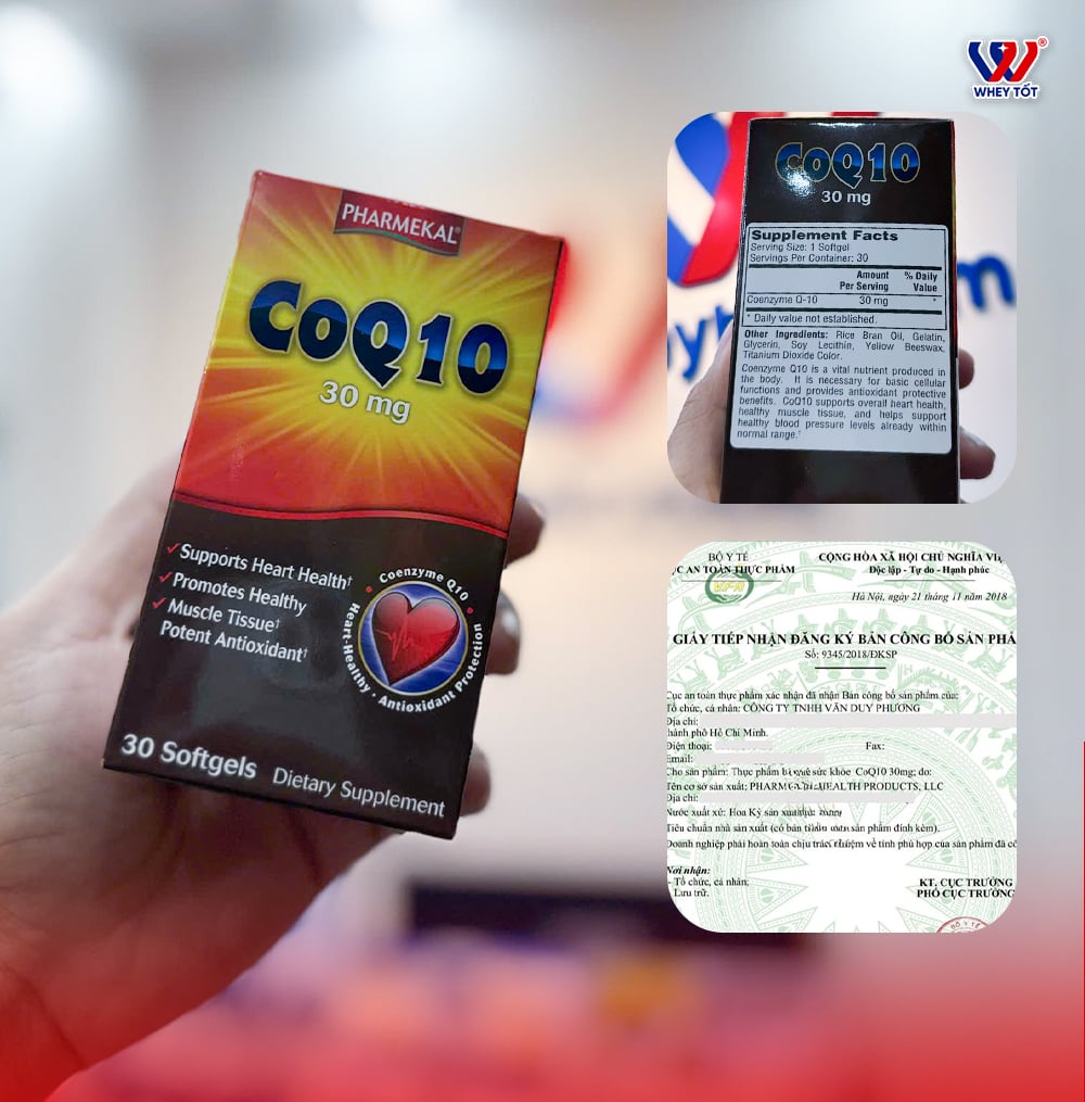 CoQ10
