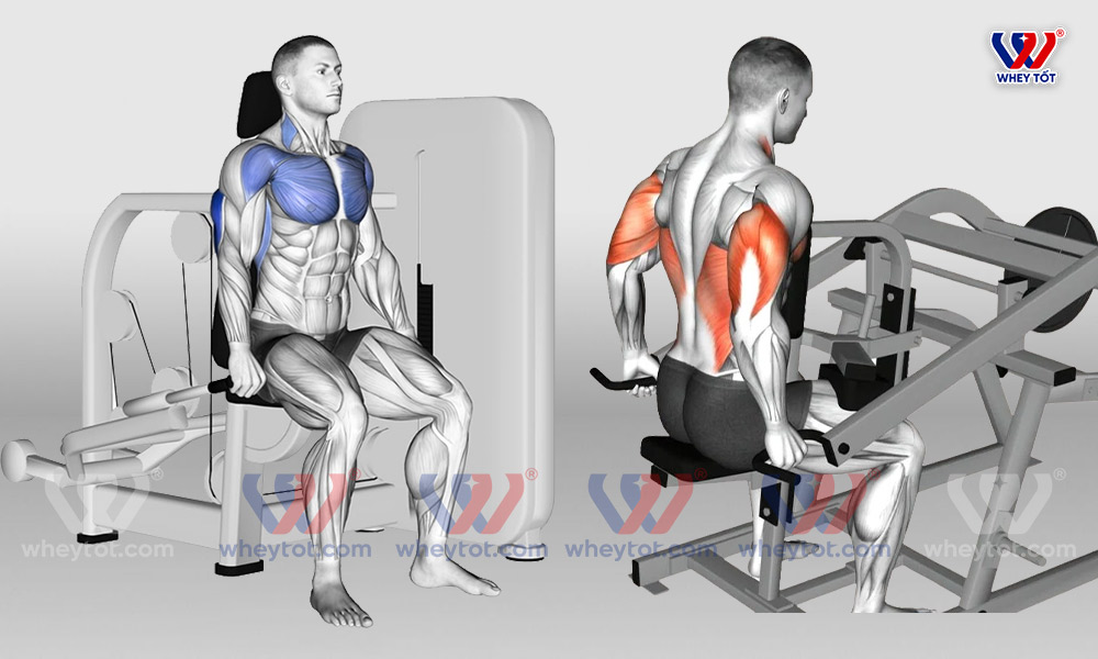 Tư thế đẩy tay sau với máy Triceps Dip