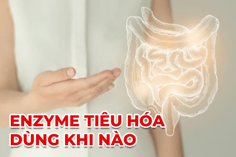 Enzyme tiêu hóa cho người lớn dùng khi nào