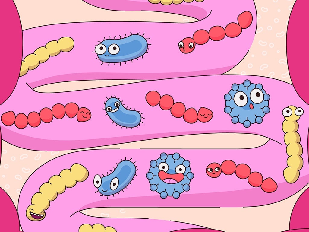 Probiotic là lợi khuẩn sống trong viên nang.