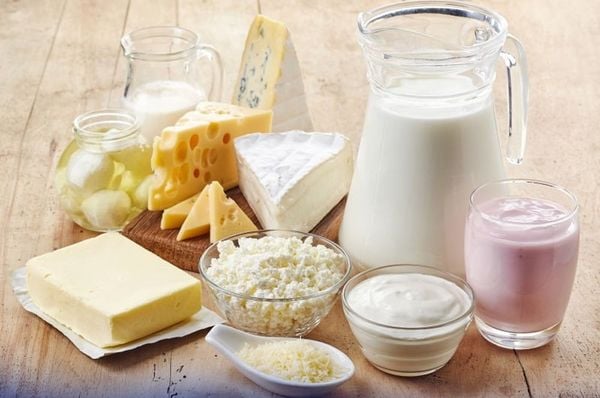 lactacse tiêu hóa đường và sữa