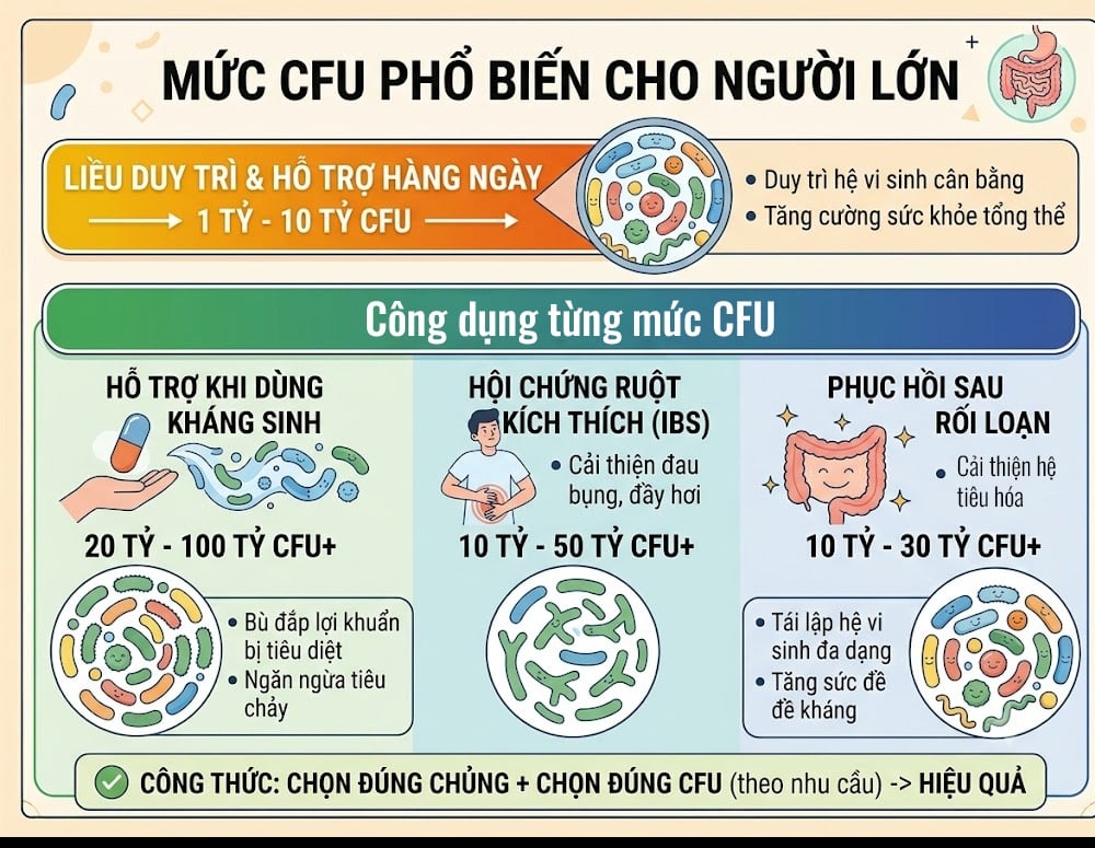 Mức CFU phổ biến cho người lớn