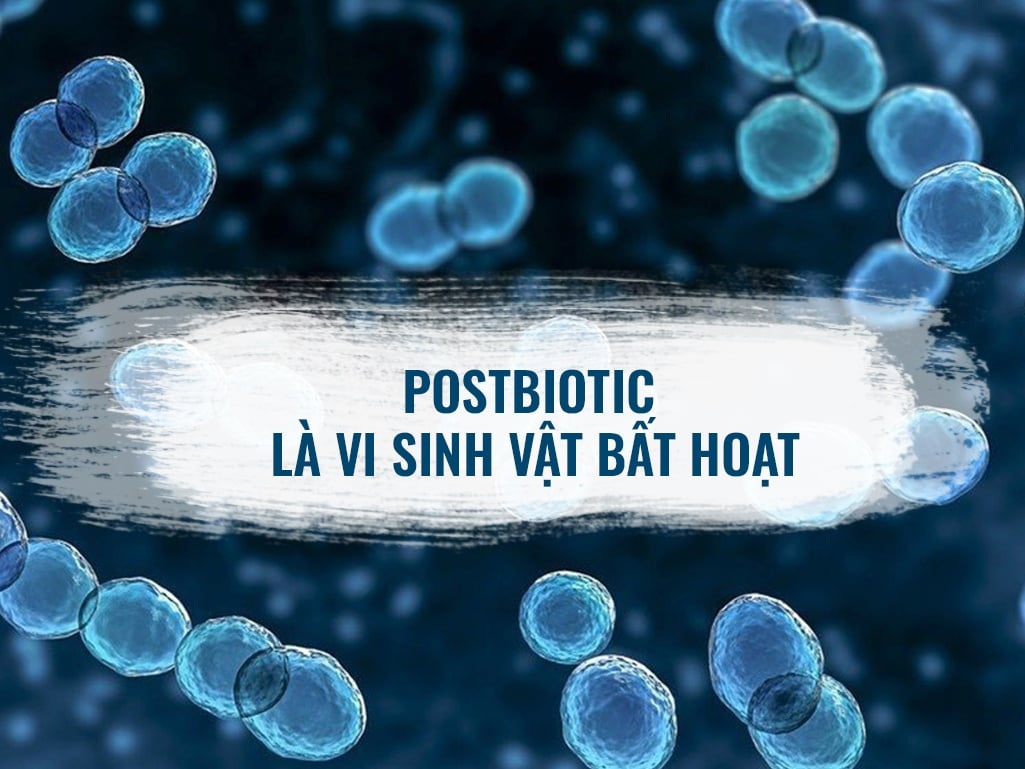 Postbiotic là vi sinh vật bất hoạt